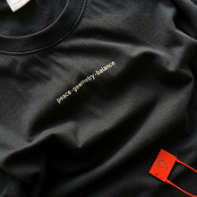 Load image into Gallery viewer, Transparencia. PGB Premium t-shirt.
