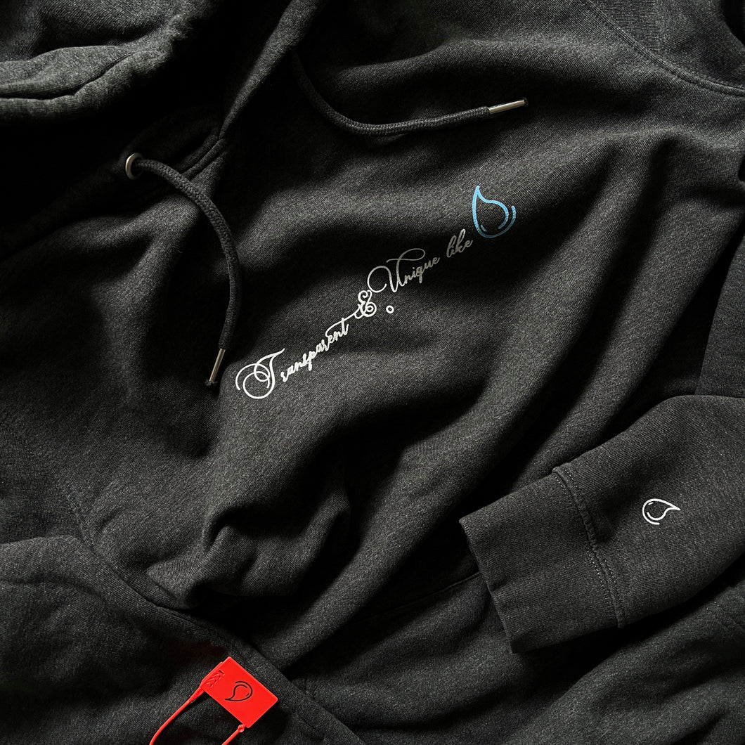 Transparencia. Tagline Premium hoodie.