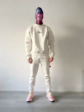 Load image into Gallery viewer, Transparencia. Handsigned Premium sweater.
